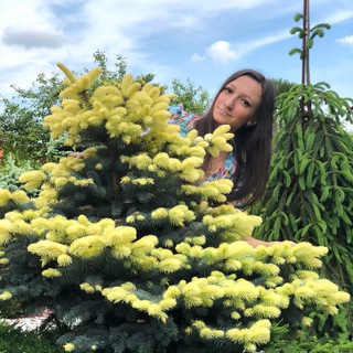 ЮЛИН САД - ВСЕ СЕКРЕТЫ ПО УХОДУ ЗА САДОМ: РОЗЫ, ХВОЙНЫЕ, РОДОДЕНДРОНЫ, ВЕРЕСКИ, МАГНОЛИИ ..