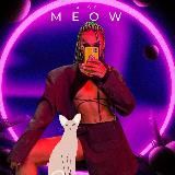 STAY MEOW