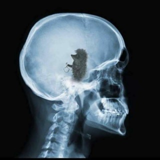 ТУРИСТИЧНІ ПЛІТКИ