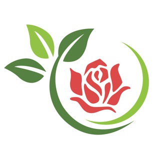 ОАЗИС РОЗ | ПИТОМНИК РАСТЕНИЙ