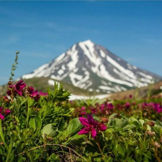 ГИД_КАМЧАТКА