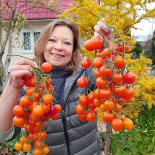 САД ОГОРОД ДАЧА  ДЛЯ ДУШИ 