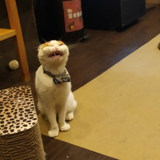 БУДНИ УНЫЛОЙ ПОНАЕХАВШЕЙ