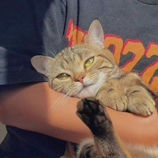 БУДИНОК ІНТРОВЕРТА