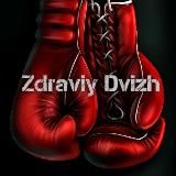 ZDRAVIY DVIZH