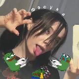  FASOOLLKA 