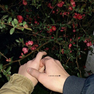 В ВЕЧНОМ ИГНОРЕ