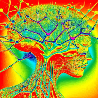 НЕЙРОСЕТИ: БУДУЩЕЕ УЖЕ ЗДЕСЬ!