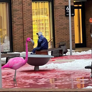 УК ВЫСОТА - ДНО ЖКХ! (ИНФОКАНАЛ)