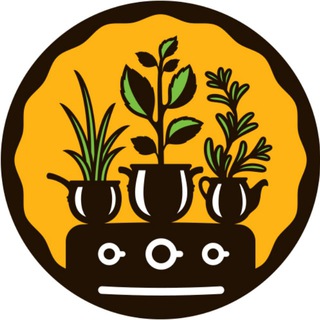 КУХНЯ ПОЛЛИ