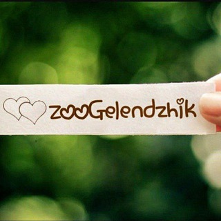 • ЗООГЕЛЕНДЖИК • ПРИЮТ • ГЕЛЕНДЖИК • ВОЛОНТЕРЫ
