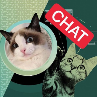 CHAT CATCRYPTOBOXER | КРИПТОБОКСЫ