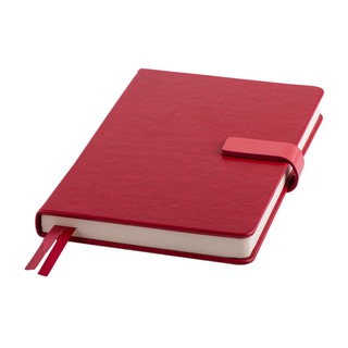 ЕЖЕДНЕВНИК ОРТОПЕДА