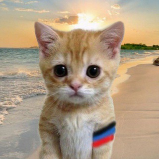 ПИКЧИ КОТОРЫЕ МЫ ЗАСЛУЖИЛИ