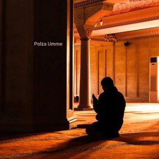 POLZA UMME 