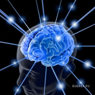 НОВЫЕ ФАКТЫ