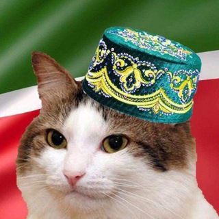 РЕСПУБЛИКАСЫ