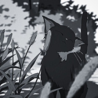 QUIᴇᴛ Rᴏᴏʍ | ʙᴄᴛУᴨᴧᴇНИᴇ ʙ ᴩᴨ И НᴏʙᴏᴄᴛИ ⊹ . ˙