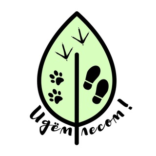 ИДЁМ ЛЕСОМ!