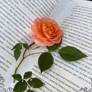 КНИЖНЫЙ ПЕРЕУЛОК 24/7