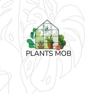 РАСТЕНИЯ PLANTS MOB