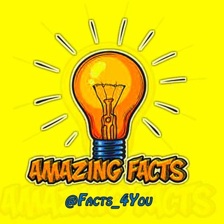 AMAZING FACTS 4U