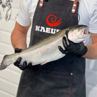 КЛЕШНЯ МЫТИЩИ