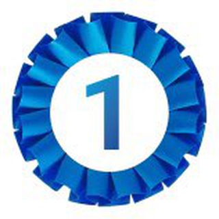 DOGWINNER. СРЕДИ СВОИХ