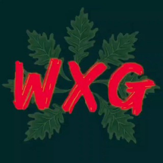 WIZARD X GROW  CHANNEL