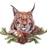 BOBCAT