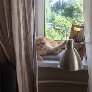 АНТОНИНА ЩАС ПОЯСНИТ