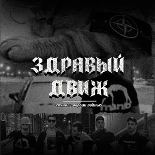 ЗДРАВЫЙ ДВИЖ