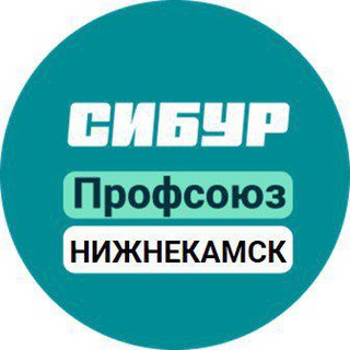 ПРОФСОЮЗ НИЖНЕКАМСКНЕФТЕХИМ