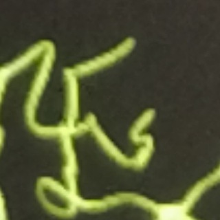 БИОАД ВНЕ КОНТЕКСТА