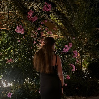 ВЕСЕЛЫЕ КРИПТОВАЛЮТЫ