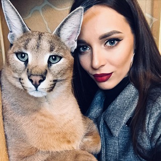 SAUVAGE. ТЕРРИТОРИЯ КОШЕК