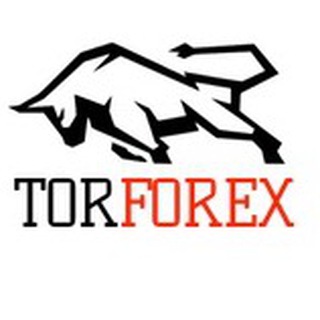 TORFOREX.COM