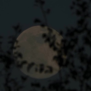 QURANSLF