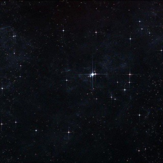 ОХОТА ЗА МЫСЛЬЮ