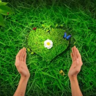 ЗДОРОВЬЕ ОТ ПРИРОДЫ