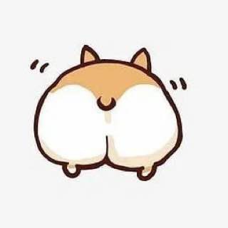 КОРГИ ЛАЙВ • СОБАКИ • СМЕШНЫЕ ВИДЕО