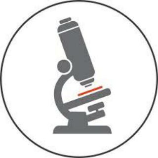 ГИСТОЛОГИЯ. САММИ