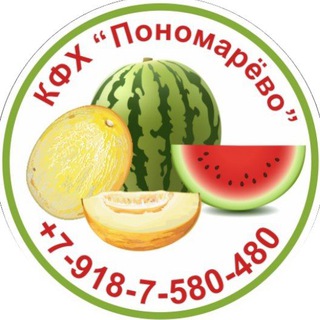 БАХЧА ПОНОМАРЁВЫХ