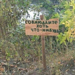 КАТЕРИНА СЛЕПОВА БУДНИ ЭКСКУРСОВОДА ЭКСКУРСИИ МОСКВА