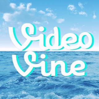 VIDEO VINE