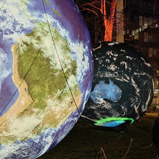 БРЮССЕЛЬСКАЯ КАПУСТА