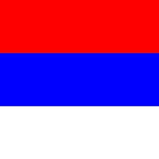 НЕ МИД РФ (NL - THE HAGUE)