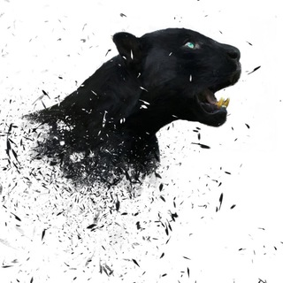 MARKET INTELLIGENCE(AI) GROUP