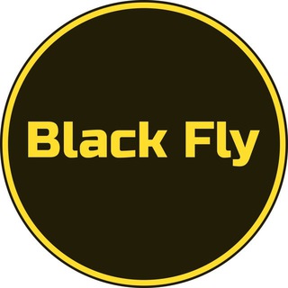 КРОССОВКИ “BLACK FLY”