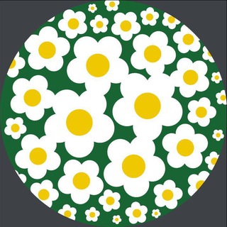 РОМАШКОВЫЙ СБОР